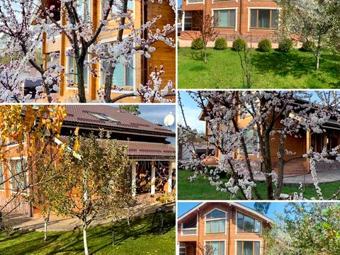 будинок за адресою Івана Федорова вул.