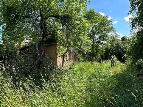 ділянка за адресою с. Паланки, 