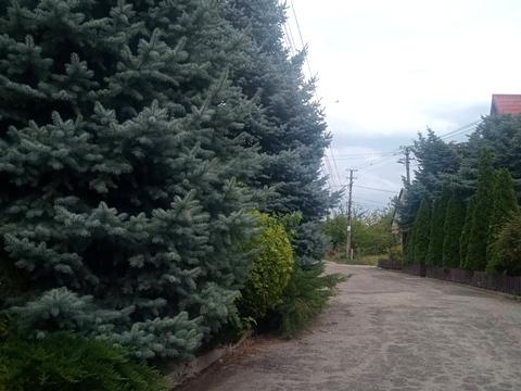 будинок за адресою Рожевий пров., 2