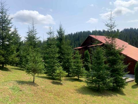 комерційна за адресою Героїв Майдану, 1