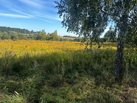 участок по адресу с. Рославичи, Полевой пер.