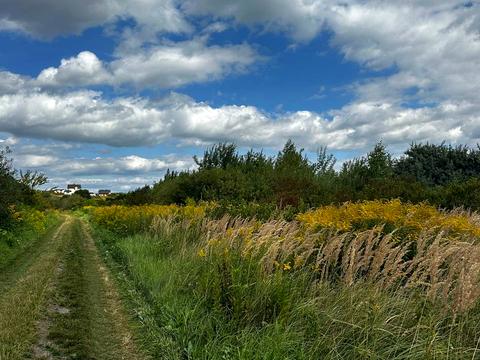 ділянка за адресою Барвінського вул.