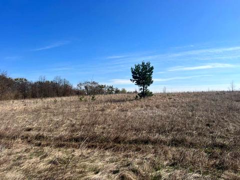 ділянка за адресою вул. Василькова, 2