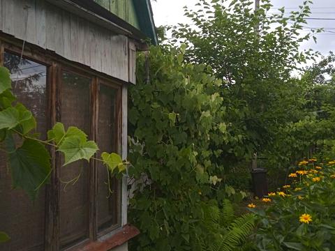 будинок за адресою 162-га Садова вул.
