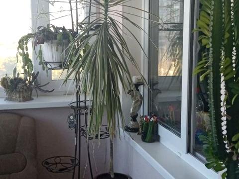 квартира по адресу Михаила Грушевского ул., 50