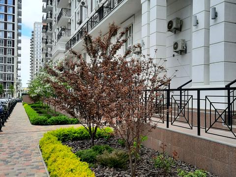 квартира за адресою Михайла Максимовича вул. (Онуфрія Трутенка), 28-Б