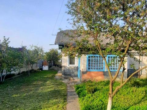 дом по адресу Левицького, 235