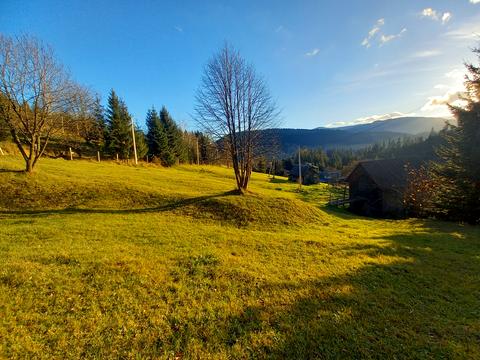 участок по адресу пгт. Верховина, вул. Невестюка
