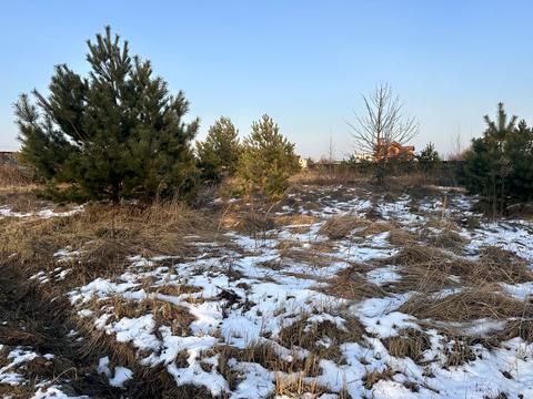 участок по адресу Васильківська, 22
