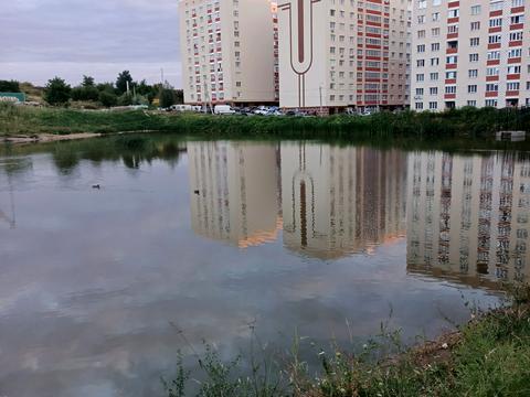 квартира за адресою Кармелюка вул., 5/6