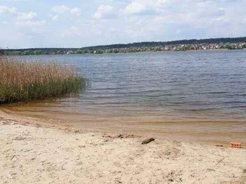 будинок за адресою лісова