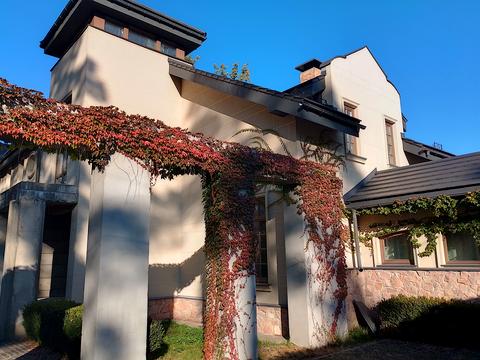 будинок за адресою Тячівський пров. (Тургенєва)