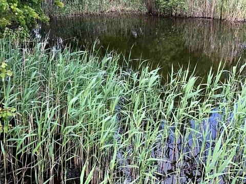 участок по адресу Шкільна