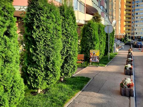 квартира за адресою Петра Калнишевського вул. (Михайла Майорова), 6