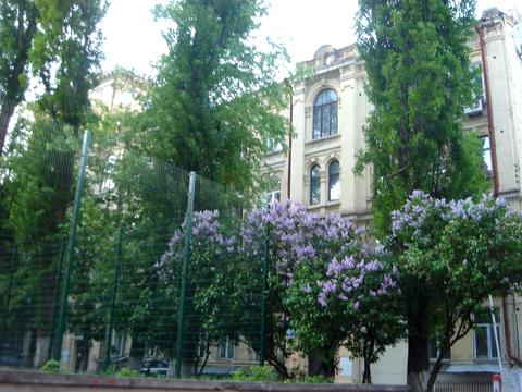 квартира за адресою Прорізна вул., 12