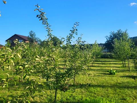 будинок за адресою Ватутіна пров., 99