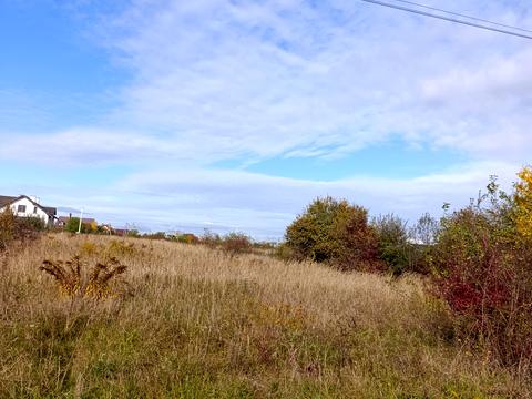 ділянка за адресою Сонячна