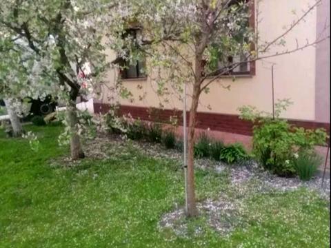 будинок за адресою Глибоциця, 10