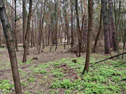ділянка за адресою смт. Ворзель, Соснова вул., 87