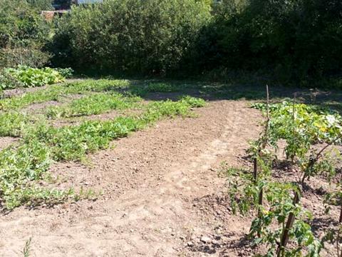 ділянка за адресою провулок Соловїний