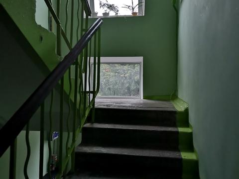 квартира по адресу Нивская ул., 3/5