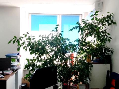 комерційна за адресою Болсуновська вул. (Сергія Струтинського), 8