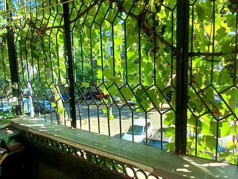 квартира за адресою Базарна вул., 66