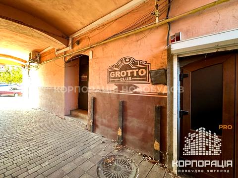 комерційна за адресою Ш.Петефі, 20А