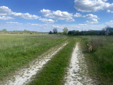 участок по адресу пгт. Брусилов, 
