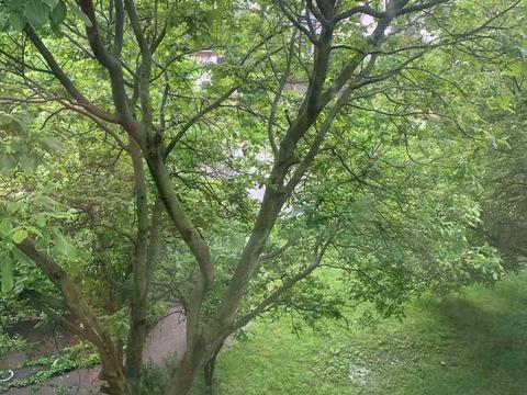 квартира за адресою Европейськая, 9