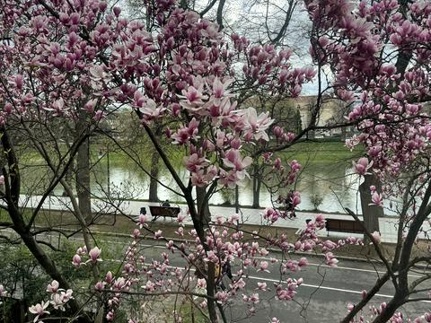 квартира за адресою набережна Незалежності вул., 9