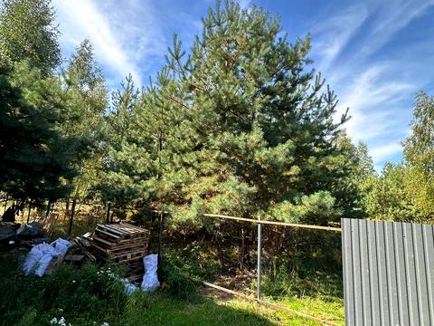 дом по адресу Ирпень, Севериновская ул. (Жовтнева)