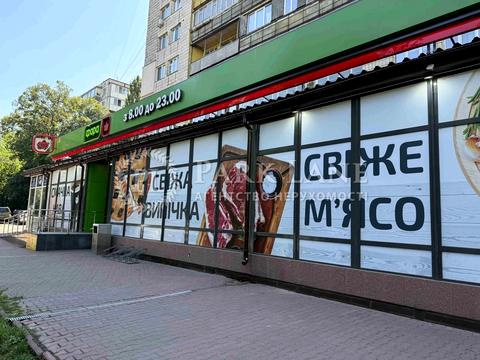 квартира по адресу Григория Кочура ул. (Александра Пироговского), 4