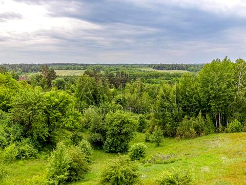 будинок за адресою Лісова, 1