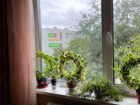 квартира по адресу Машиностроителей ул., 13