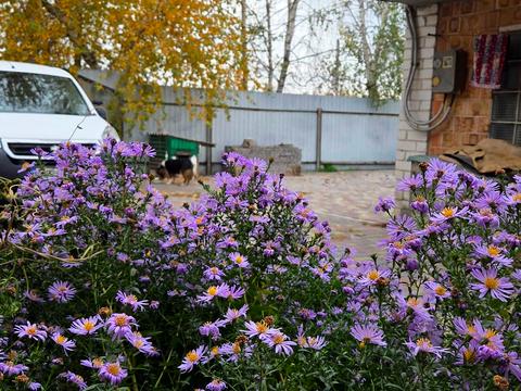 дом по адресу Шосейна, 4