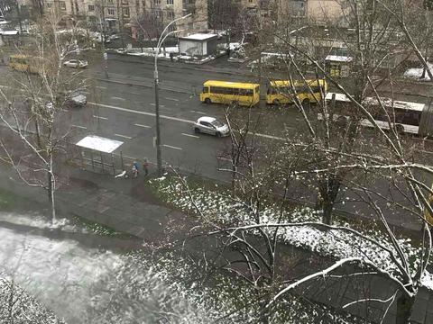 квартира по адресу Свободы просп., 28