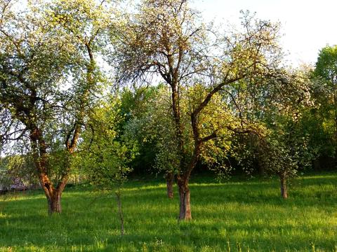 будинок за адресою Гагаріна, 21