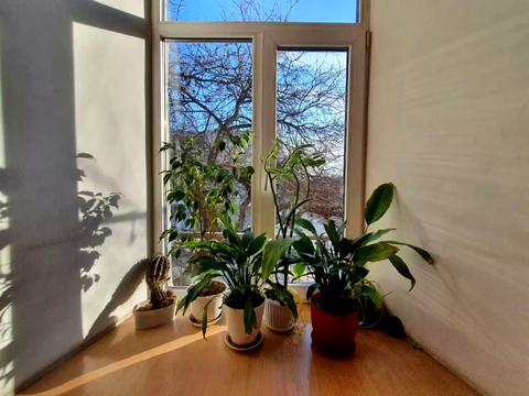 квартира за адресою Святослава Караванського вул. (Жуковського), 36