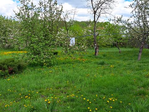 будинок за адресою Лісова, 90