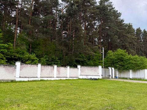 будинок за адресою с. Рокитне, Буковина, 15