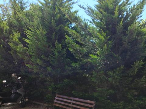 квартира за адресою Вильямса, 43