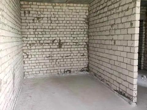 квартира по адресу Елизаветинская ул., 26