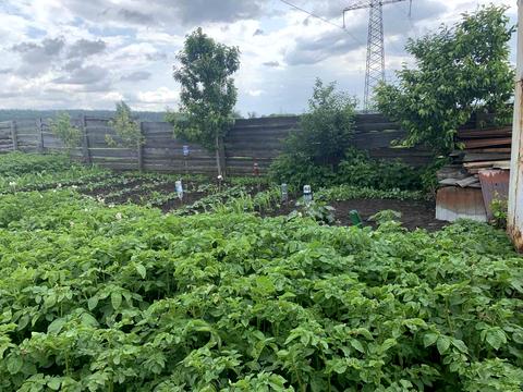 ділянка за адресою 6-та Лінія вул.