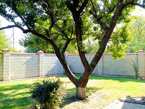 будинок за адресою Малахітовий пров., 2