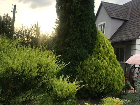 будинок за адресою Соборна