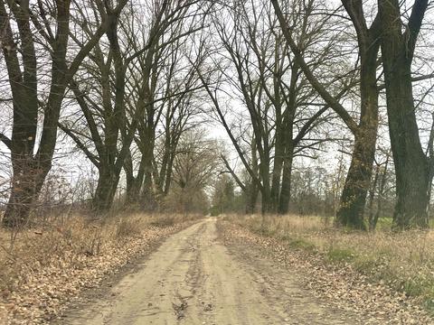 ділянка за адресою с. Іванівка, 