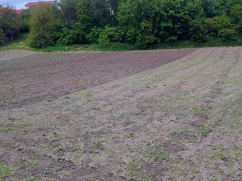 ділянка за адресою Шкільна
