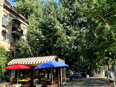 комерційна за адресою Шевченка просп., 7а
