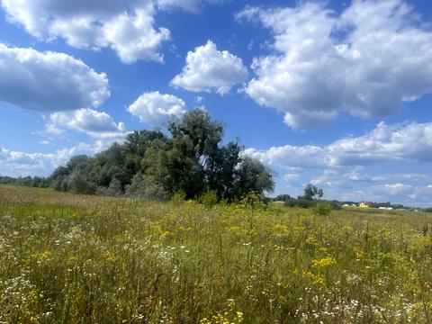 участок по адресу 